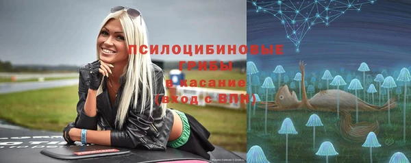 apvp Балахна