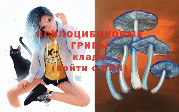 МДПВ Балабаново