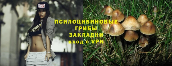 a pvp Белокуриха