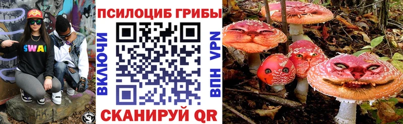 где можно купить наркотик  Невель  Псилоцибиновые грибы Magic Shrooms 